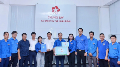 Nỗ lực cố gắng cùng sự quan tâm kịp thời