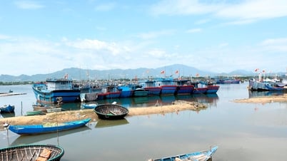 Khẩn trương hoàn thành chuỗi liên hoàn hậu cần nghề cá