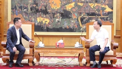 Phó Chủ tịch UBND tỉnh Phạm Văn Thịnh tiếp và làm việc với đoàn doanh nghiệp Trung Quốc
