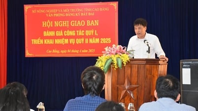 Văn phòng Đăng ký đất đai sơ kết công tác quý I/2025