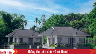 Một ngày – Ba trải nghiệm tại LAMORI