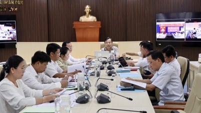 HĐND tỉnh thẩm tra, góp ý các Dự thảo Nghị quyết lĩnh vực ngân sách, tài chính