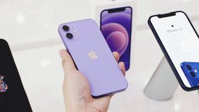 3 mẫu iPhone vừa bị khai tử tại Việt Nam