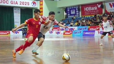 Khởi tranh Giải Futsal HDBank Cúp Quốc gia 2025
