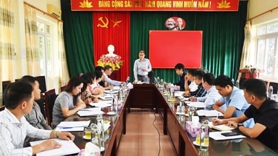 Giám đốc Sở Nông nghiệp và Môi trường làm việc với Văn phòng Đăng ký đất đai