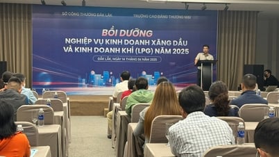 Le ministère de l'Industrie et du Commerce a organisé un cours de formation sur la protection de l'environnement dans le secteur pétrolier et sur la sécurité dans le secteur du gaz (GPL).