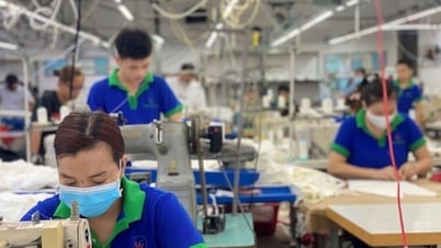 Tổng Liên đoàn Lao động h ướng dẫn chi tiết việc giảm mức đóng công đoàn phí