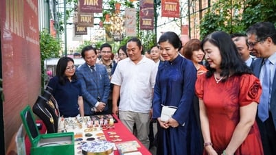 Lễ hội Văn hóa Việt Nam tại Moscow, Nga thành công rực rỡ
