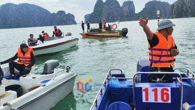 Đi tìm “hạnh phúc cuối cùng” cho những gia đình bất hạnh