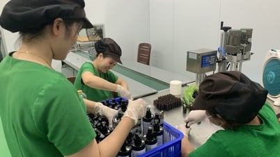Situation de la production industrielle au cours des six premiers mois de l'année dans la province de Dak Lak