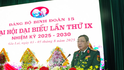 Khai mạc Đại hội đại biểu Đảng bộ Binh đoàn 15 lần thứ IX