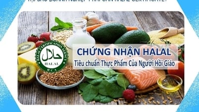Mời tham gia Hội nghị “Chứng nhận Halal – Cơ hội xuất khẩu vào các nước Hồi Giáo”