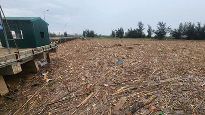 Gian nan thu gom, xử lý hàng trăm tấn rác ở Hà Tĩnh