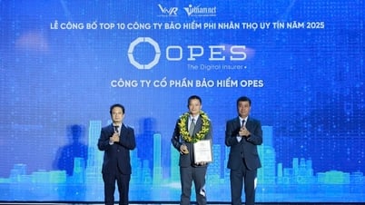 OPES lọt Top 10 công ty bảo hiểm phi nhân thọ uy tín nhất...