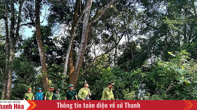 Tuyên truyền, phổ biến pháp luật bảo vệ rừng đến người dân
