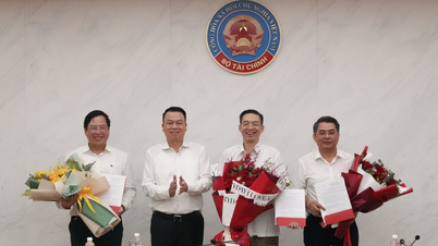 Bộ trưởng Bộ Tài chính bổ nhiệm vụ trưởng Vụ Quốc phòng, an ninh, đặc biệt