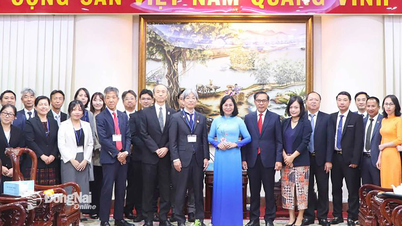 Nhật Bản đứng thứ ba về đầu tư nước ngoài vào Đồng Nai