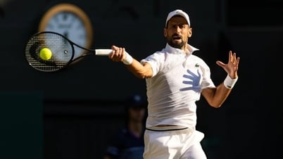 Djokovic bỏ Cincinnati Open, nghi ngờ gặp chấn thương nặng