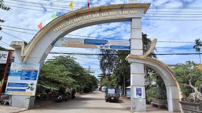 Giảng viên bị trường nợ tiền dạy cả chục năm, chủ tịch Quảng Ngãi yêu cầu giải quyết