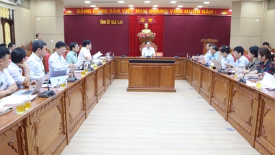 Phấn đấu đưa Gia Lai vào tốp đầu của cả nước về phát triển khoa học, công nghệ, đổi mới sáng tạo và chuyển đổi số