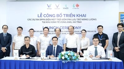 VinEnergo triển khai các dự án điện mặt trời kèm pin lưu trữ