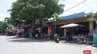 Gia Phù khuyến khích kinh tế tư nhân phát triển