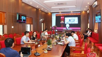 Hội nghị trực tuyến triển khai phân cấp quản lý nhà nước về giáo dục