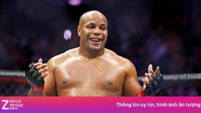 Huyền thoại UFC gây tranh cãi