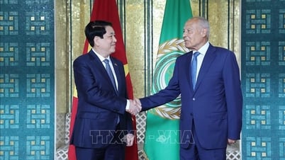 Vietnam wishes to develop more substantive and effective relations with the Arab League.