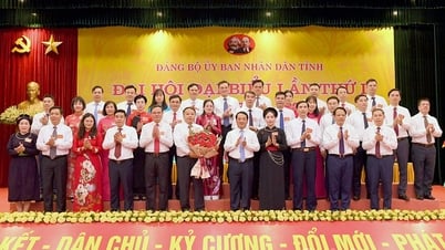 Đại hội đại biểu Đảng bộ UBND tỉnh lần thứ I, nhiệm kỳ 2025-2030 thành công tốt đẹp