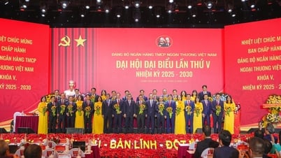 Đại hội đại biểu Đảng bộ Vietcombank lần thứ V, nhiệm kỳ 2025 – 2030: Tiếp...