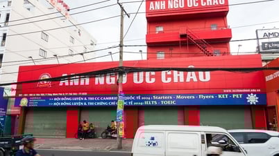 TP.HCM sẽ kiểm tra đột xuất trung tâm ngoại ngữ, tin học trong trường hợp nào?