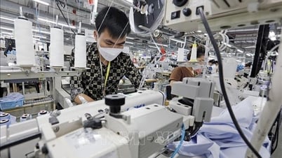 Doanh nghiệp tìm cách thích ứng với thuế đối ứng 20%