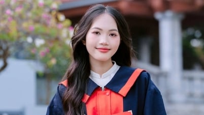 Từ câu chuyện lịch sử của bố đến ngôi vị thủ khoa C00 Tuyên Quang