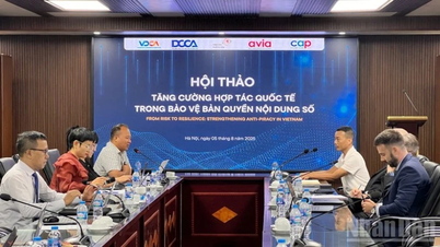 Tăng cường hợp tác quốc tế trong bảo vệ bản quyền nội dung số