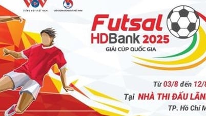 SCTV Sports أغسطس 2025: تبدأ الحياة النابضة بالحياة!