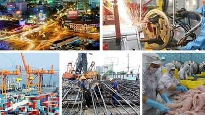 إضافة 5 أعضاء إلى المجلس الاستشاري للسياسات