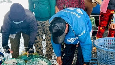 Lâm Đồng: Tấp nập đón "lộc biển" mùa gió nam