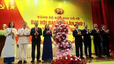 Xây dựng Cô Tô trở thành trung tâm du lịch nghỉ dưỡng hiện đại gắn với phát triển kinh tế biển