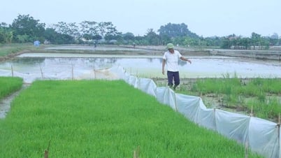 Phòng trừ dịch bệnh, bảo vệ cây trồng