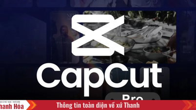 So sánh Capcut Free vs Pro: Người làm nội dung nên chọn gì?
