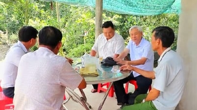 Gương sáng cựu chiến binh chung sức xây dựng quê hương