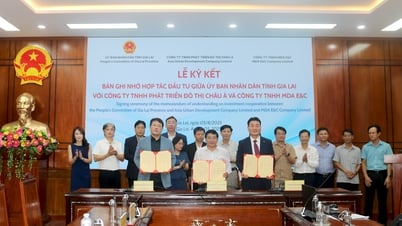 Lãnh đạo UBND tỉnh làm việc với doanh nghiệp Hàn Quốc