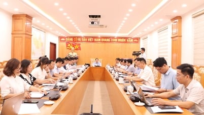 Các hoạt động Tết Độc lập năm 2025: Diễn ra từ ngày 30/8 - 2/9
