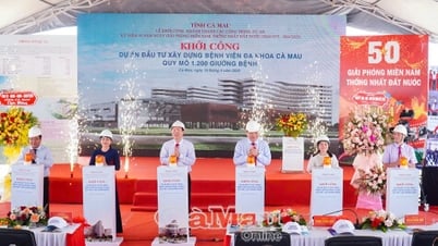 Cà Mau thành lập 4 tổ giám sát đẩy mạnh giải ngân đầu tư công