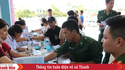 Xã Hoằng Tiến tiếp nhận gần 250 đơn vị máu tại Ngày hội hiến máu tình nguyện