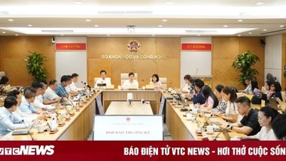 Starlink chưa nộp hồ sơ xin cấp phép triển khai dịch vụ Internet vệ tinh