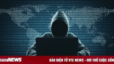 Mất 9,5 nghìn tỷ USD vì tấn công mạng toàn cầu 