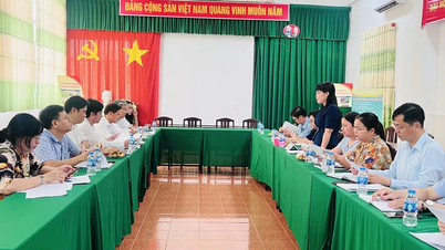 Agribank đồng hành cùng Đề án một triệu hec-ta chuyên canh lúa chất lượng cao tại TP Cần Thơ