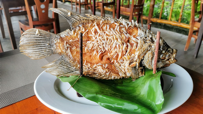 Ẩm thực Vĩnh Long – Hương vị miệt vườn đậm đà, giản dị mà khó quên